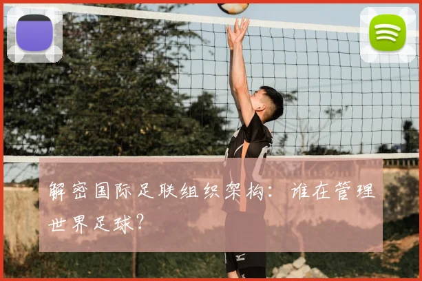 解密国际足联组织架构:谁在管理世界足球?