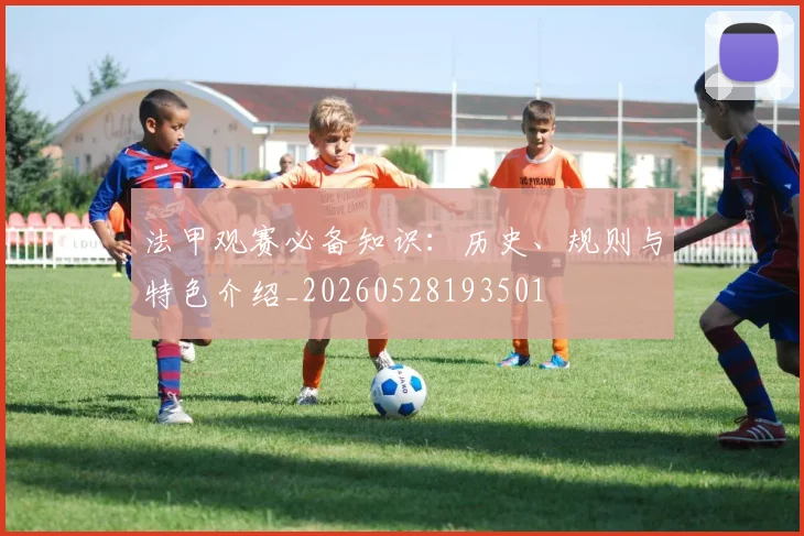 法甲观赛必备知识:历史、规则与特色介绍_20260528193501