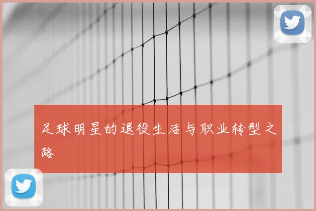 足球明星的退役生活与职业转型之路