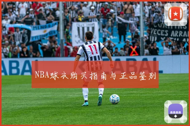 NBA球衣购买指南与正品鉴别